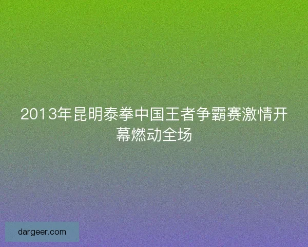 2013年昆明泰拳中国王者争霸赛激情开幕燃动全场