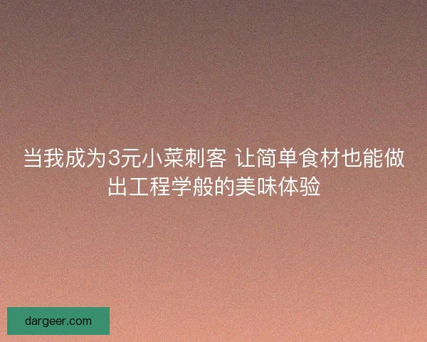 当我成为3元小菜刺客 让简单食材也能做出工程学般的美味体验