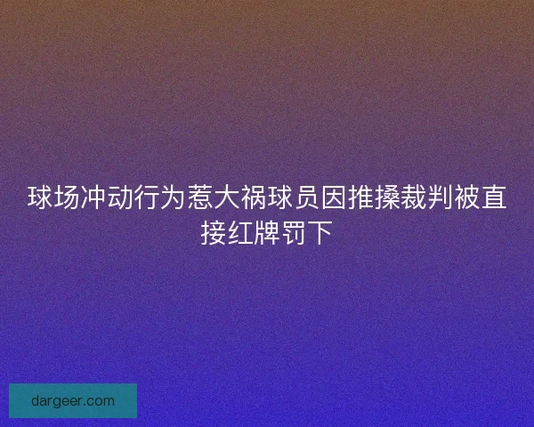 球场冲动行为惹大祸球员因推搡裁判被直接红牌罚下 球场冲动行为惹大祸球员因推搡裁判被直接红牌罚下
