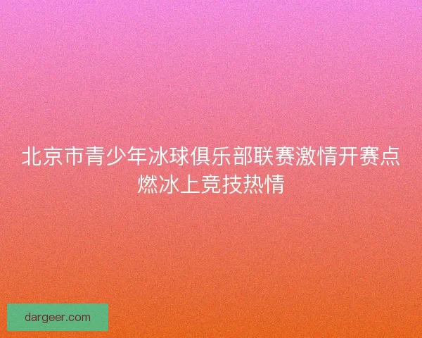 北京市青少年冰球俱乐部联赛激情开赛点燃冰上竞技热情